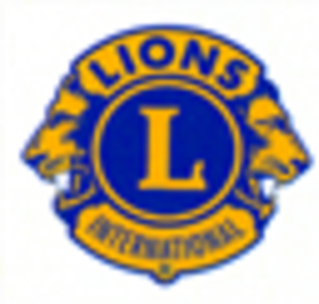 LionsLogo.png - small